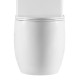 Чаша унитаза компакта Mixxus Premium Ellipse-0401-T1 Bowl 630х390х840 Tornado 1.0 без сиденья (MI83